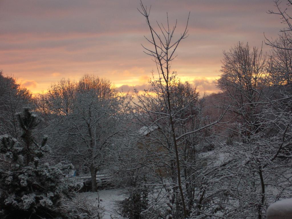 Le Jardin Ombrage Bed & Breakfast Saint-Paul-dʼIzeaux Exterior foto